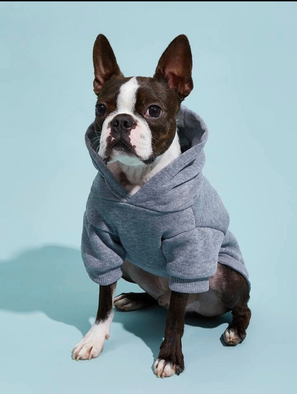 dog hoodies, warm soft fleece lining, pet clothes